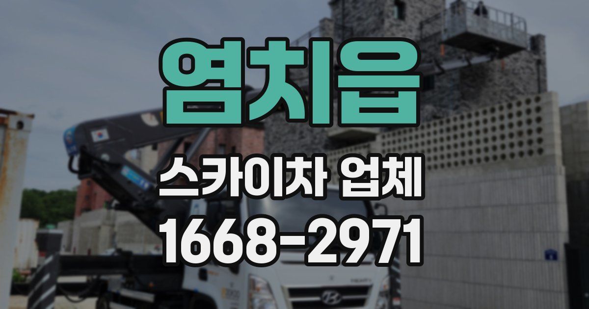 염치읍 스카이차 업체