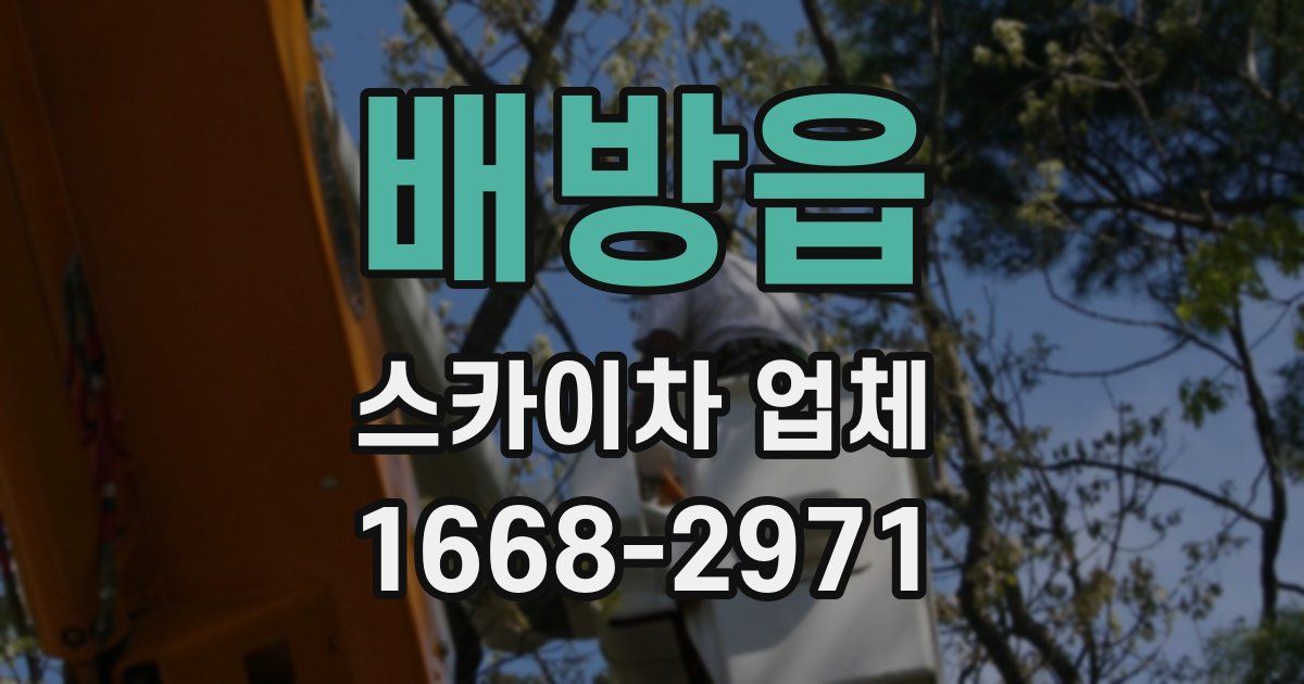 배방읍 스카이차 업체