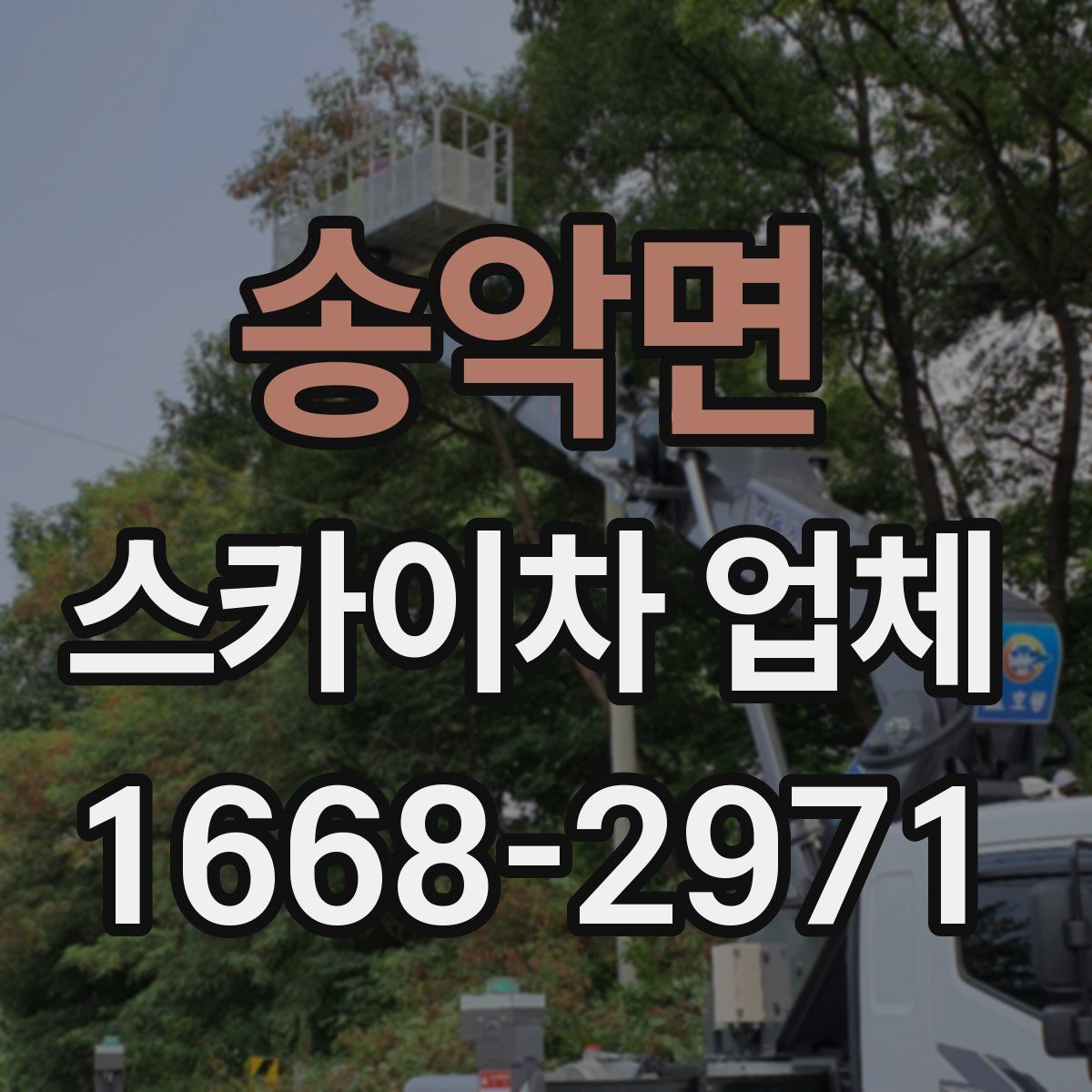 송악면 스카이차 업체