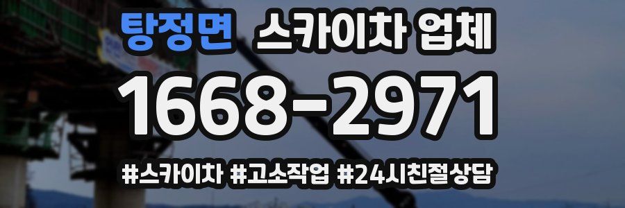 탕정면 스카이차 업체