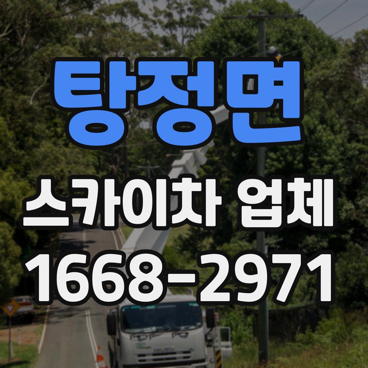 탕정면 스카이차 업체