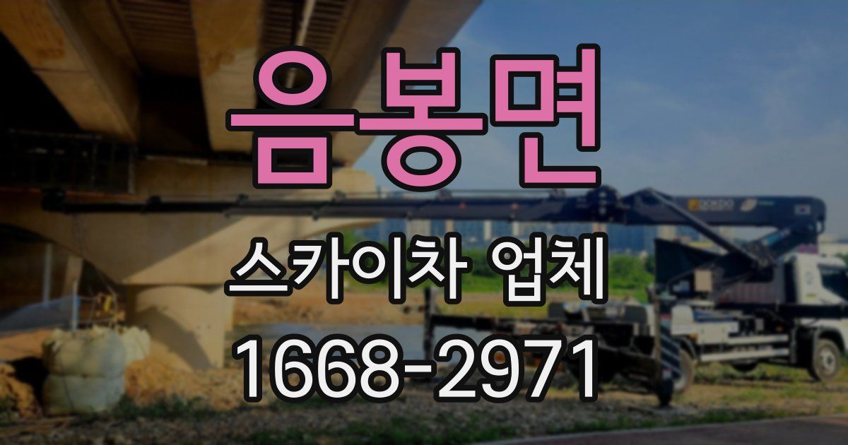 음봉면 스카이차 업체