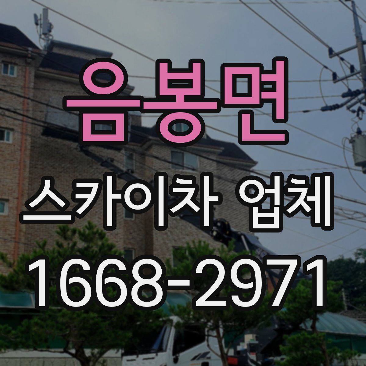 음봉면 스카이차 업체