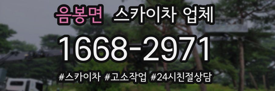 음봉면 스카이차 업체