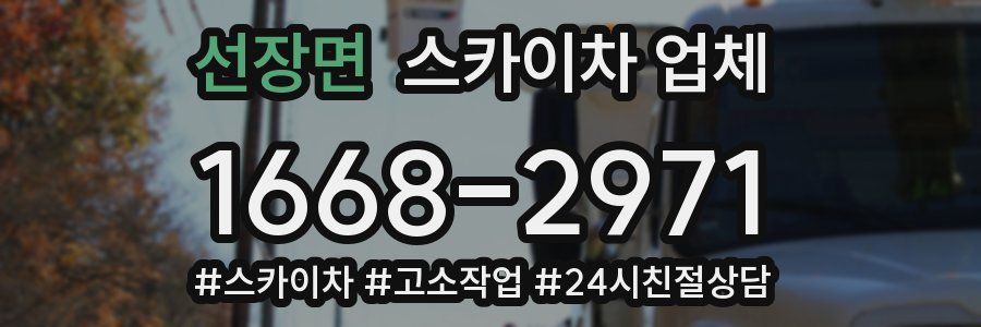 선장면 스카이차 업체
