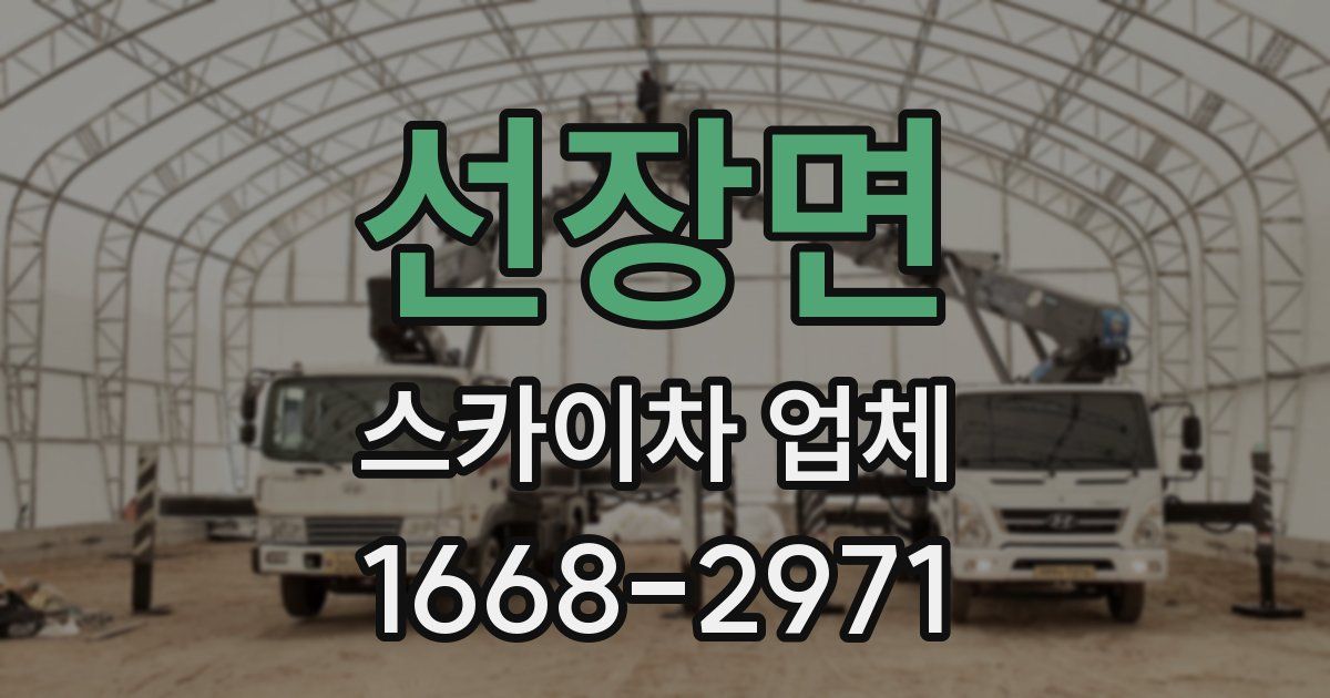 선장면 스카이차 업체