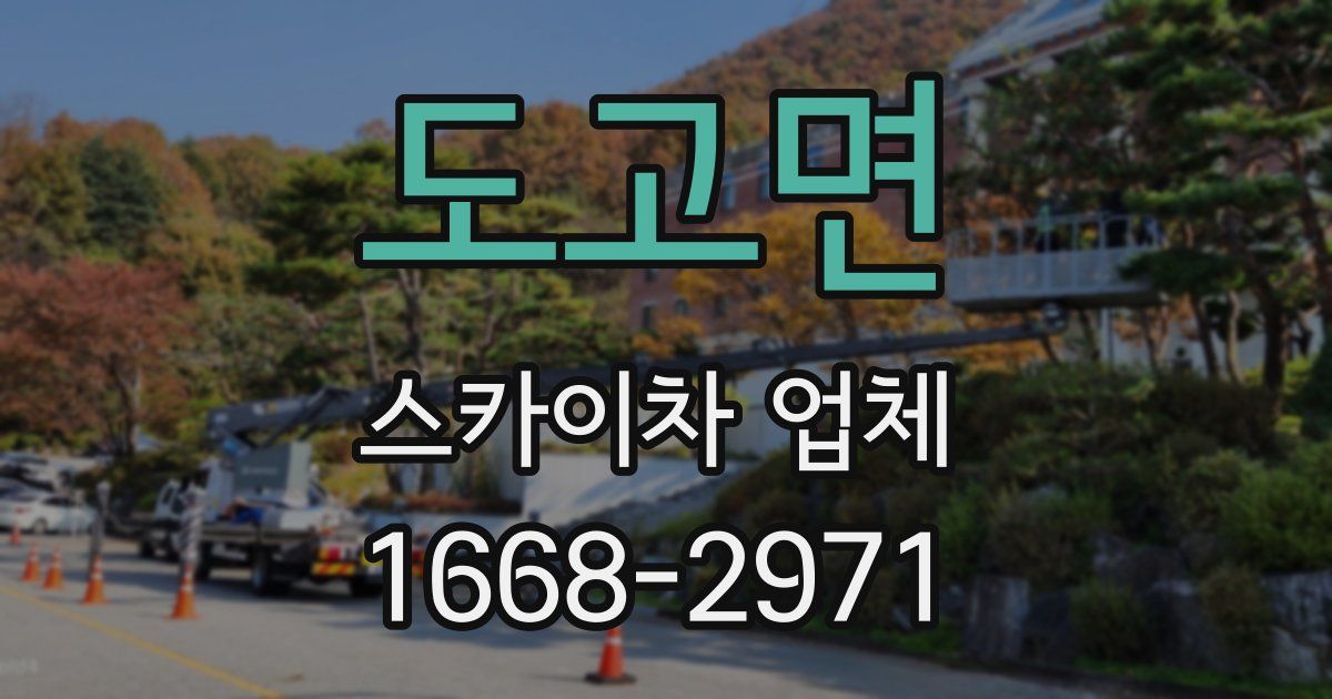 도고면 스카이차 업체