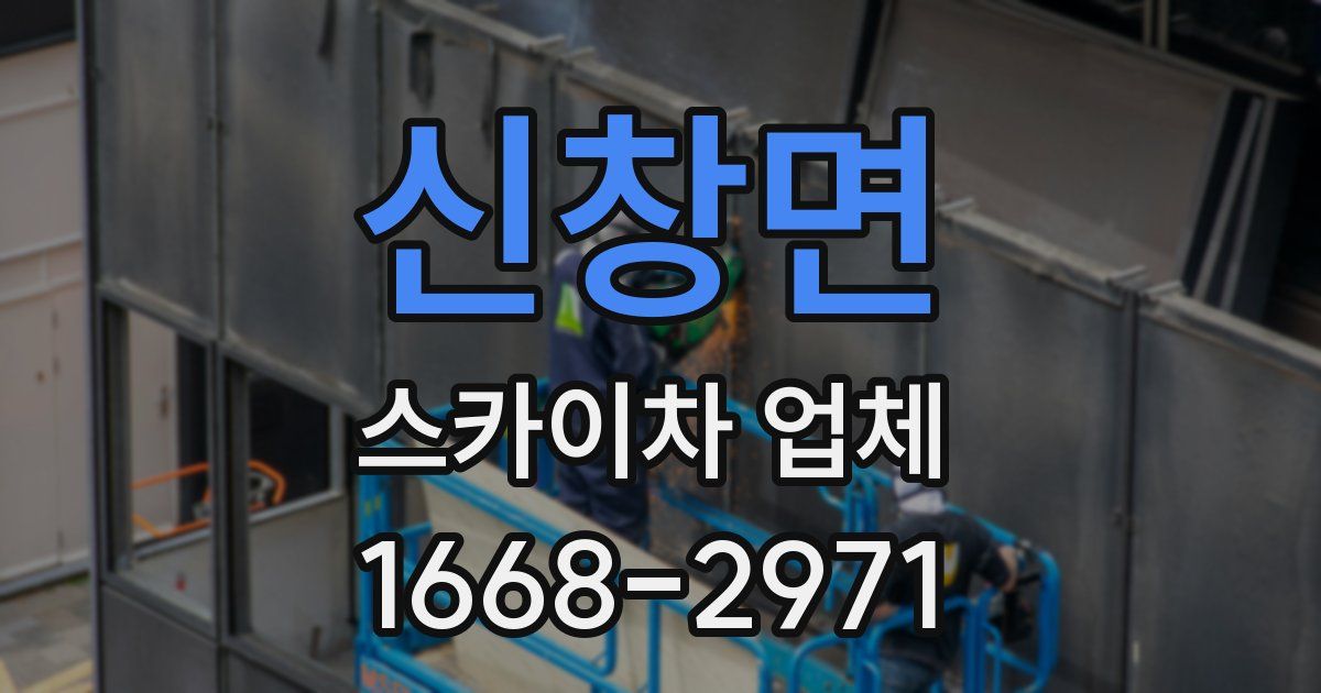 신창면 스카이차 업체