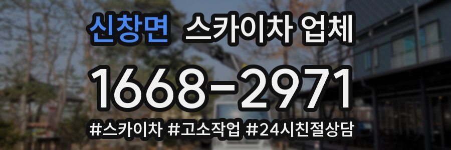 신창면 스카이차 업체