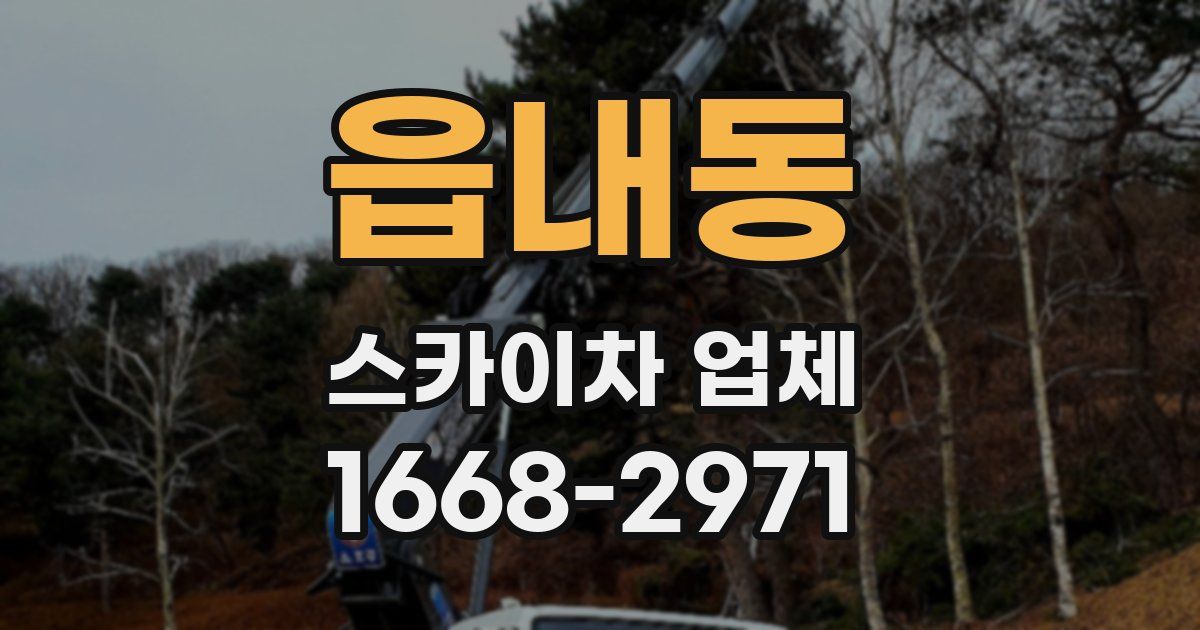 읍내동 스카이차 업체