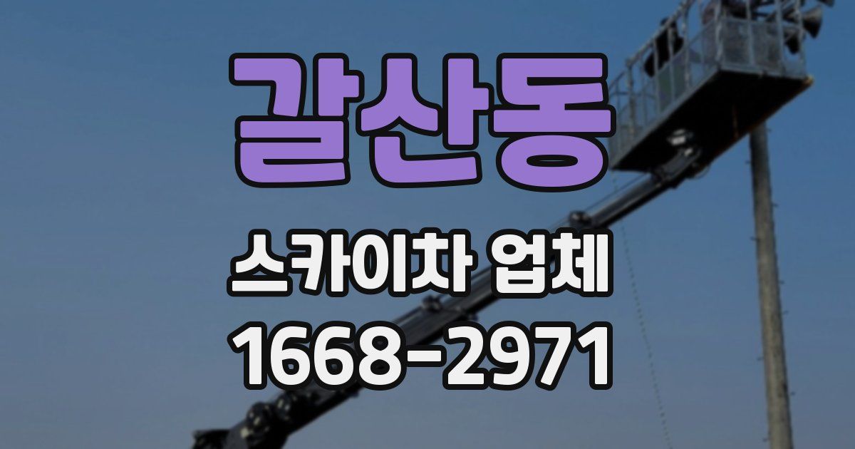 갈산동 스카이차 업체