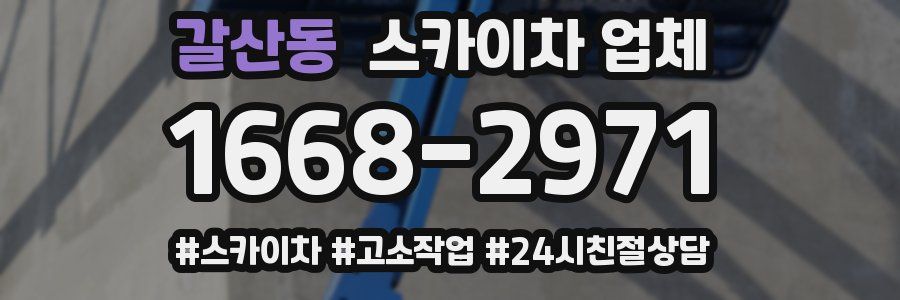 갈산동 스카이차 업체
