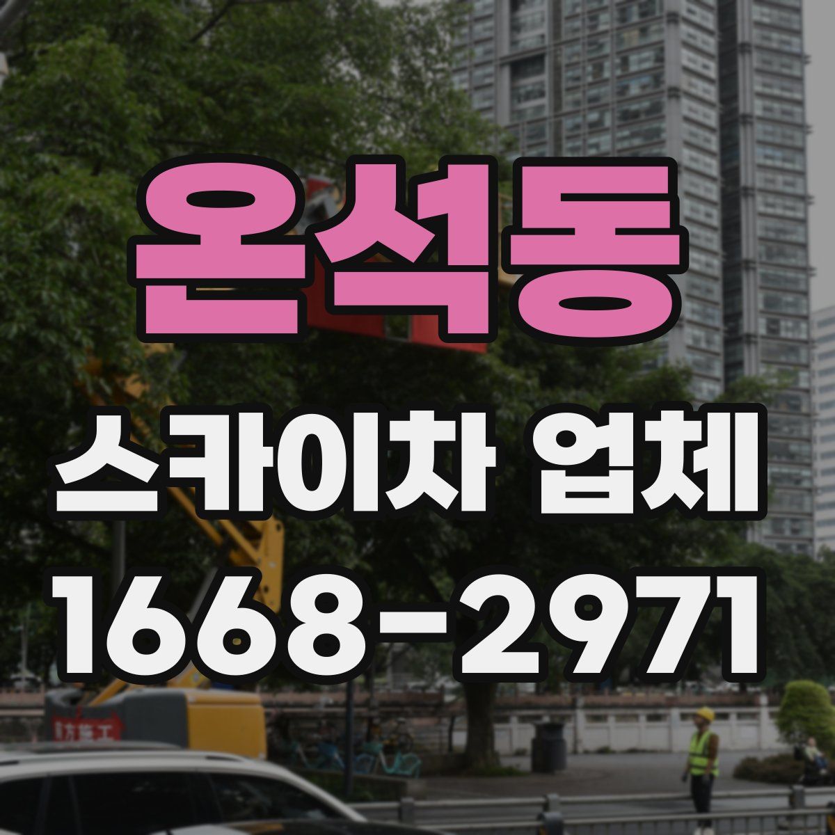 온석동 스카이차 업체