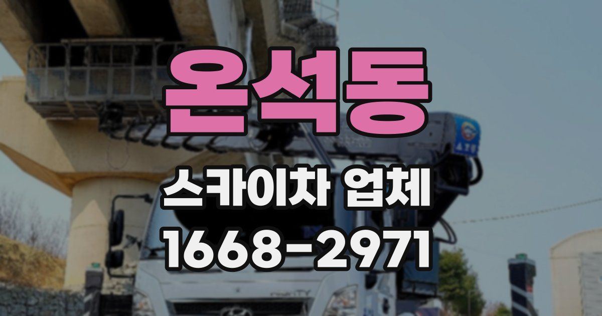 온석동 스카이차 업체