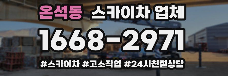 온석동 스카이차 업체