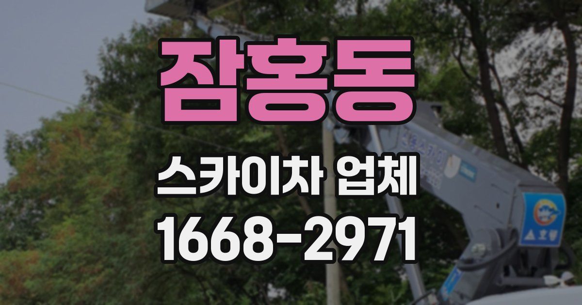 잠홍동 스카이차 업체