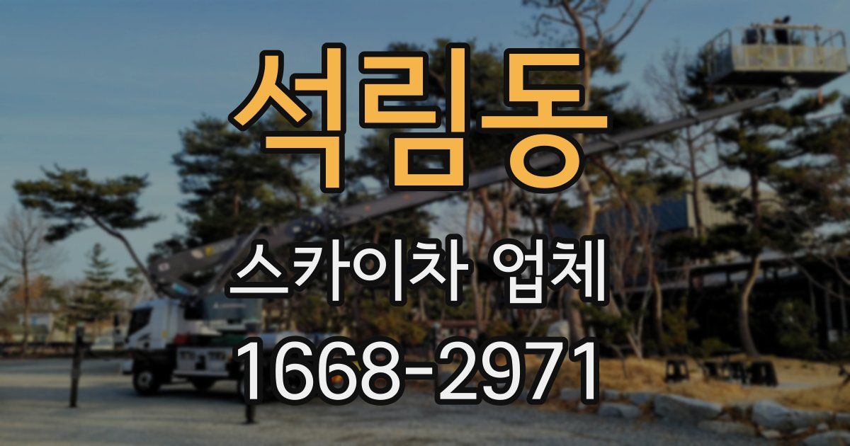 석림동 스카이차 업체