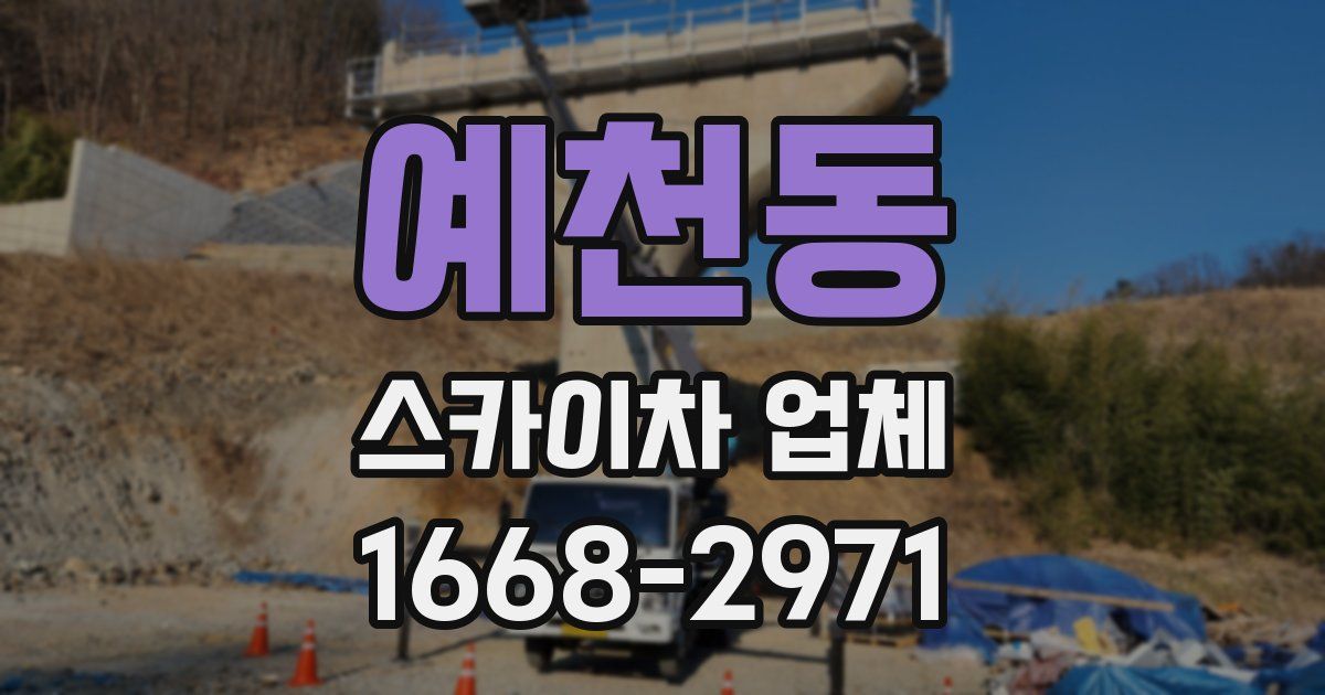 예천동 스카이차 업체
