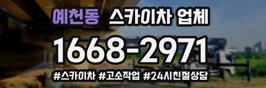 예천동 스카이차 업체