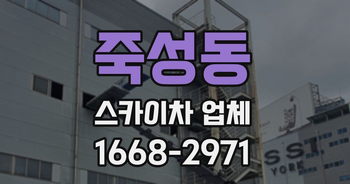 죽성동 스카이차 업체
