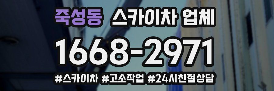 죽성동 스카이차 업체
