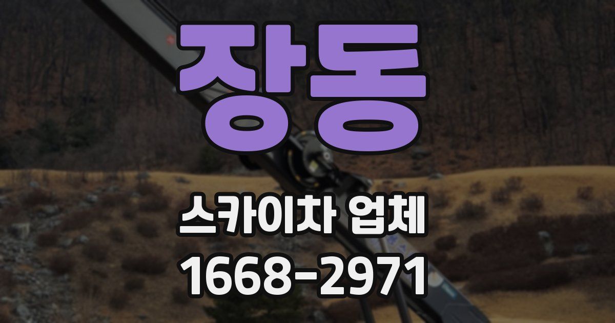 장동 스카이차 업체