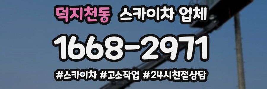 덕지천동 스카이차 업체