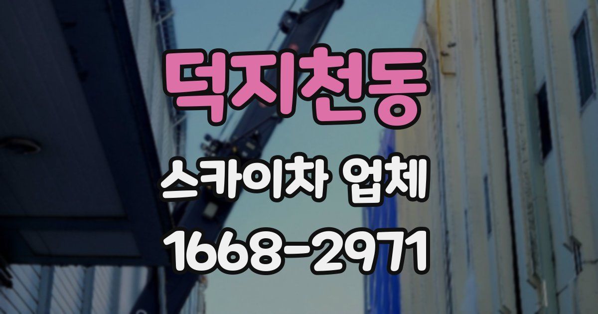 덕지천동 스카이차 업체