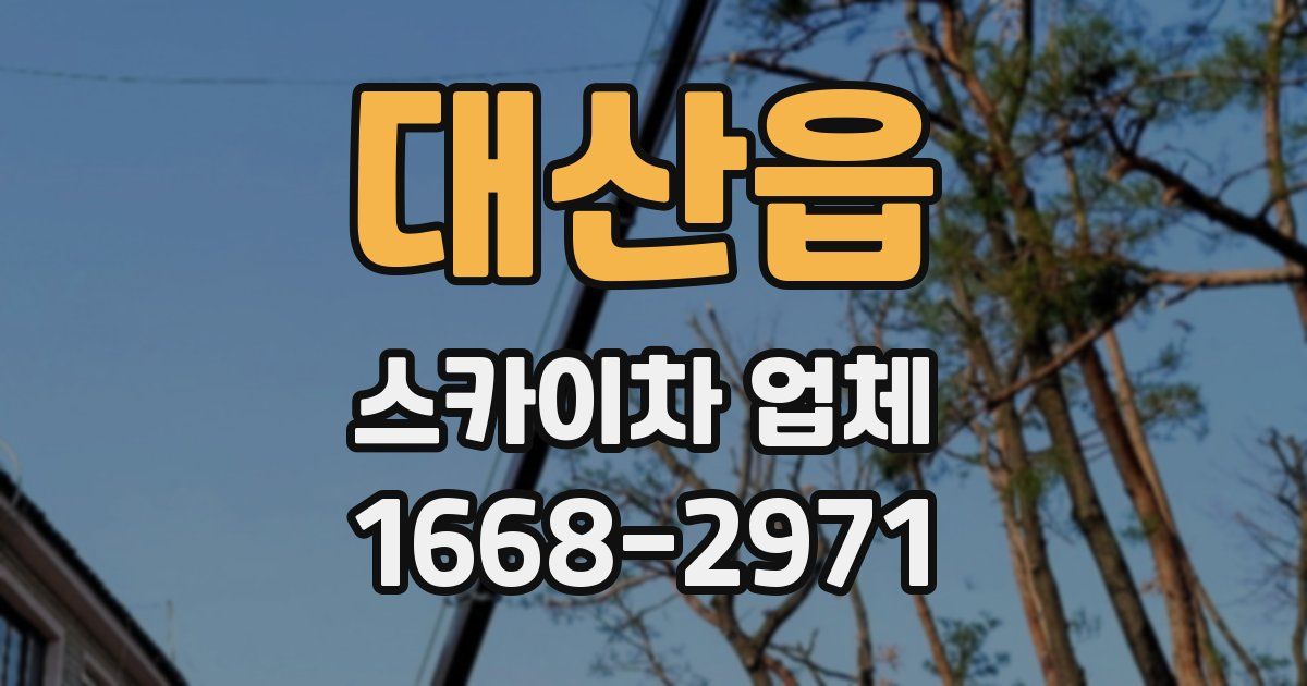 대산읍 스카이차 업체