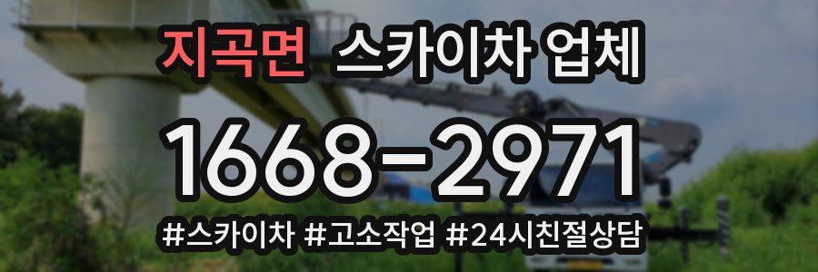 지곡면 스카이차 업체