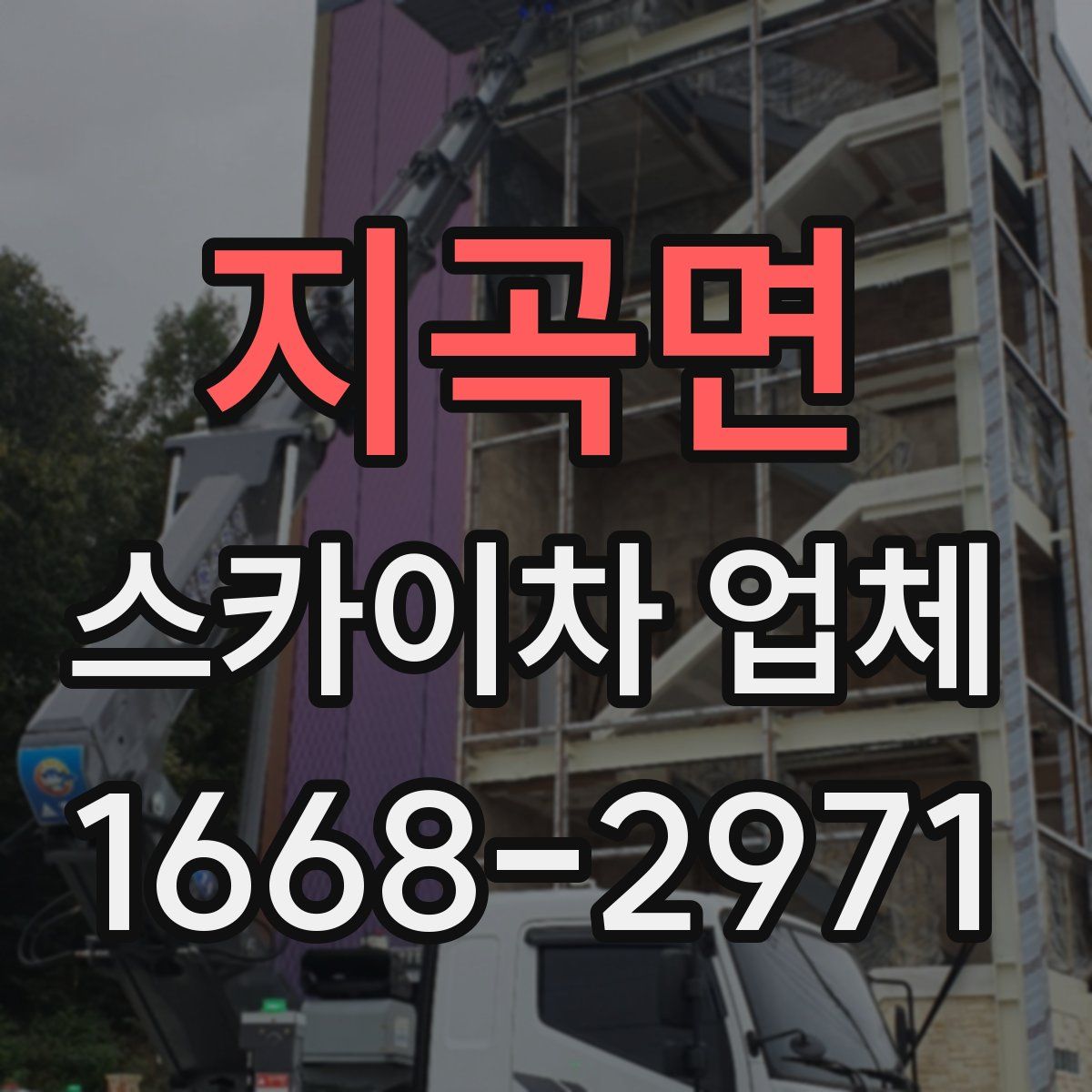 지곡면 스카이차 업체