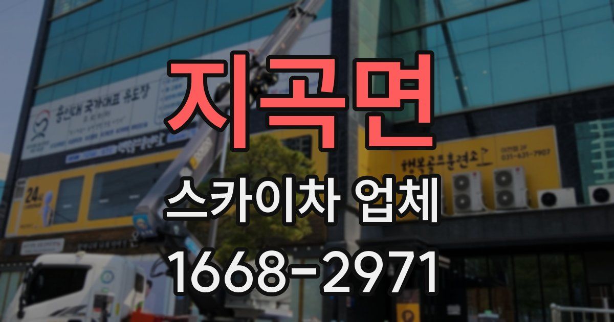 지곡면 스카이차 업체