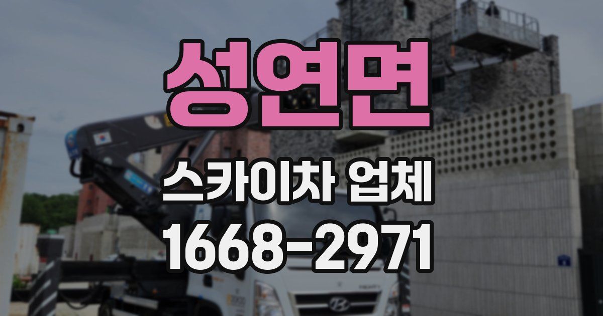 성연면 스카이차 업체