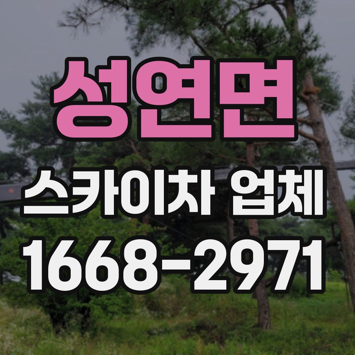 성연면 스카이차 업체
