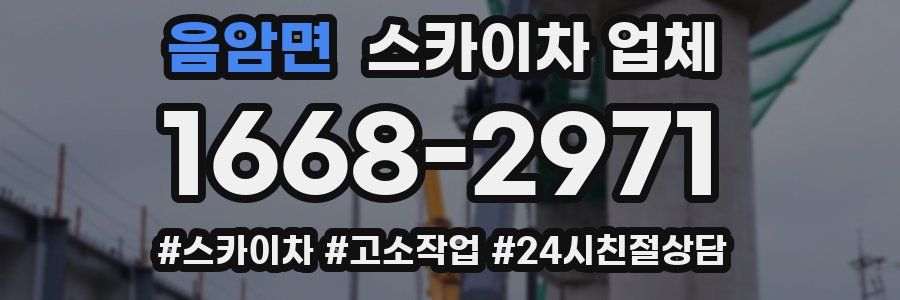 음암면 스카이차 업체