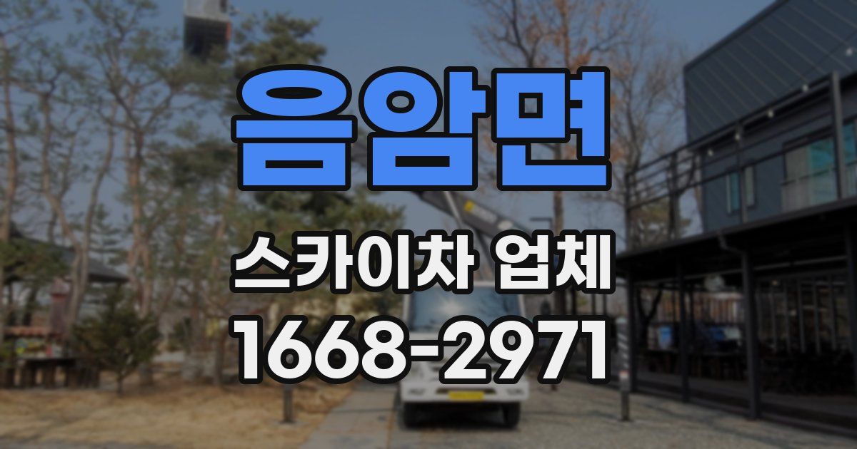 음암면 스카이차 업체