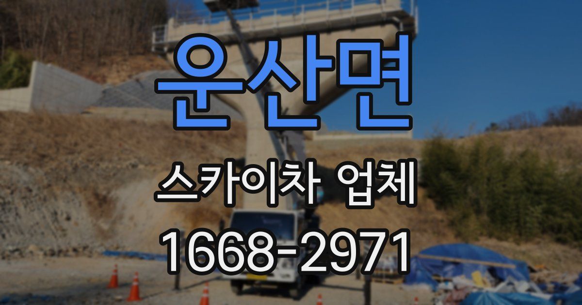 운산면 스카이차 업체
