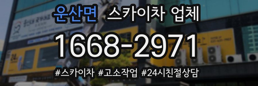 운산면 스카이차 업체