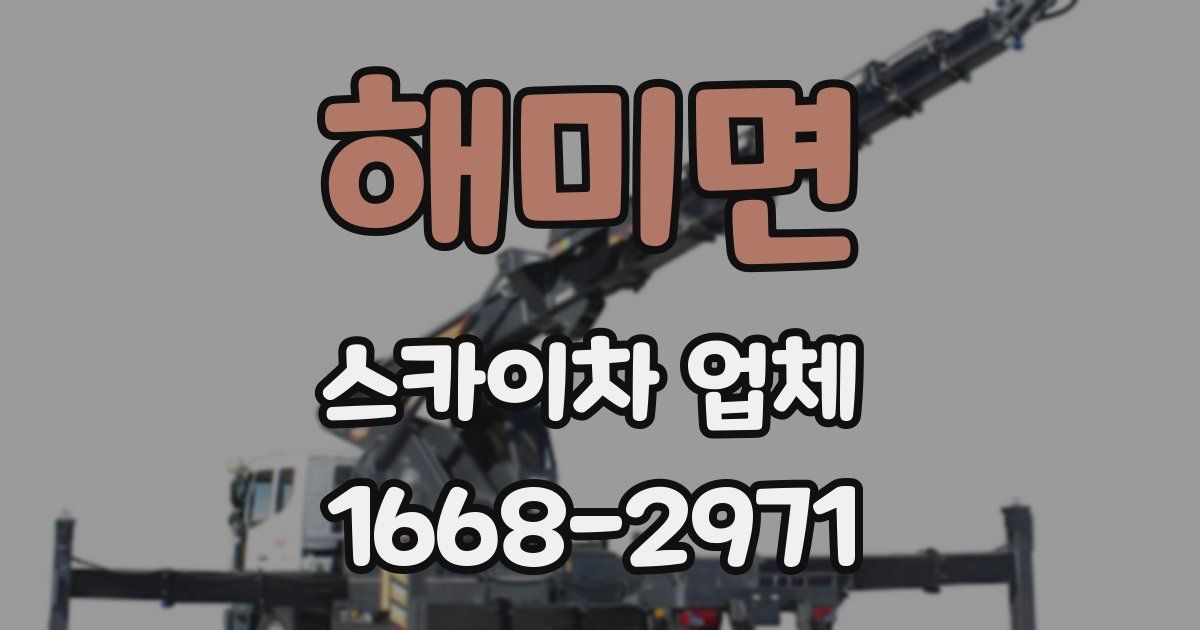 해미면 스카이차 업체