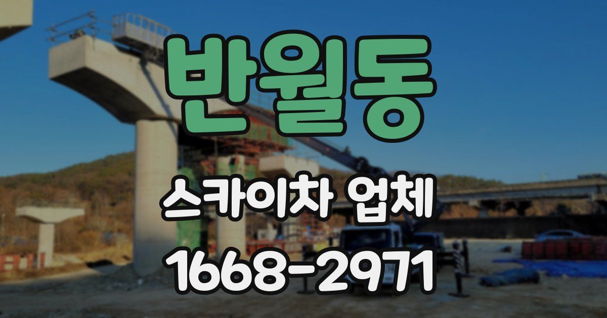 반월동 스카이차 업체