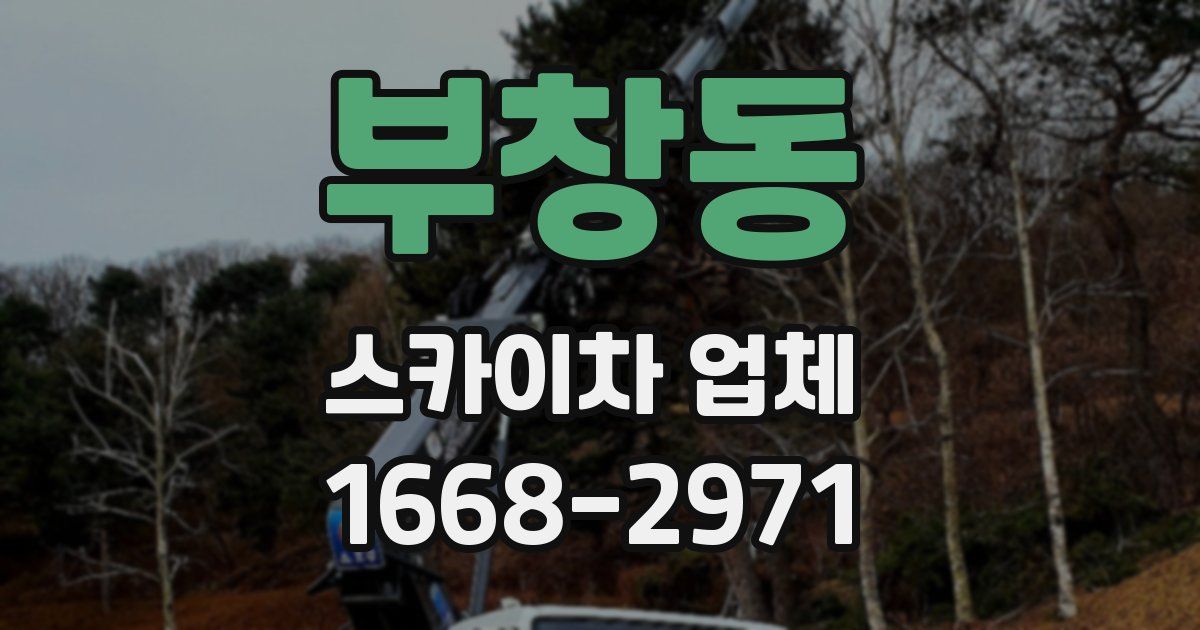 부창동 스카이차 업체