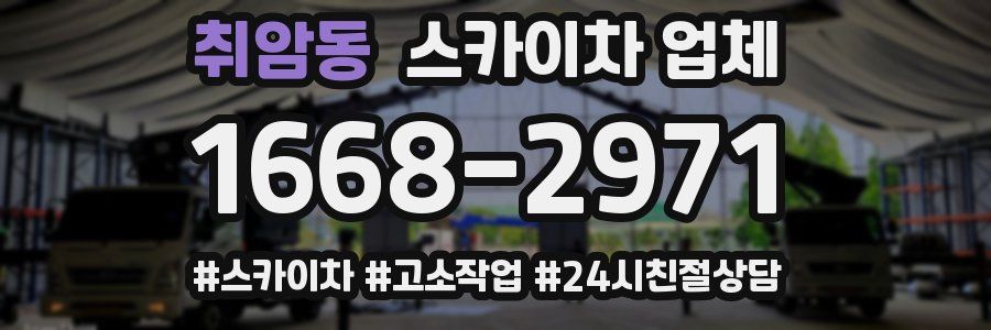 취암동 스카이차 업체