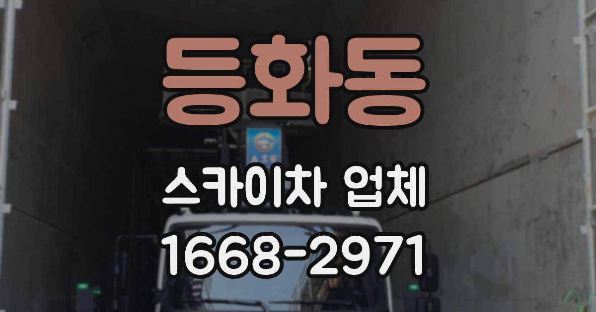등화동 스카이차 업체