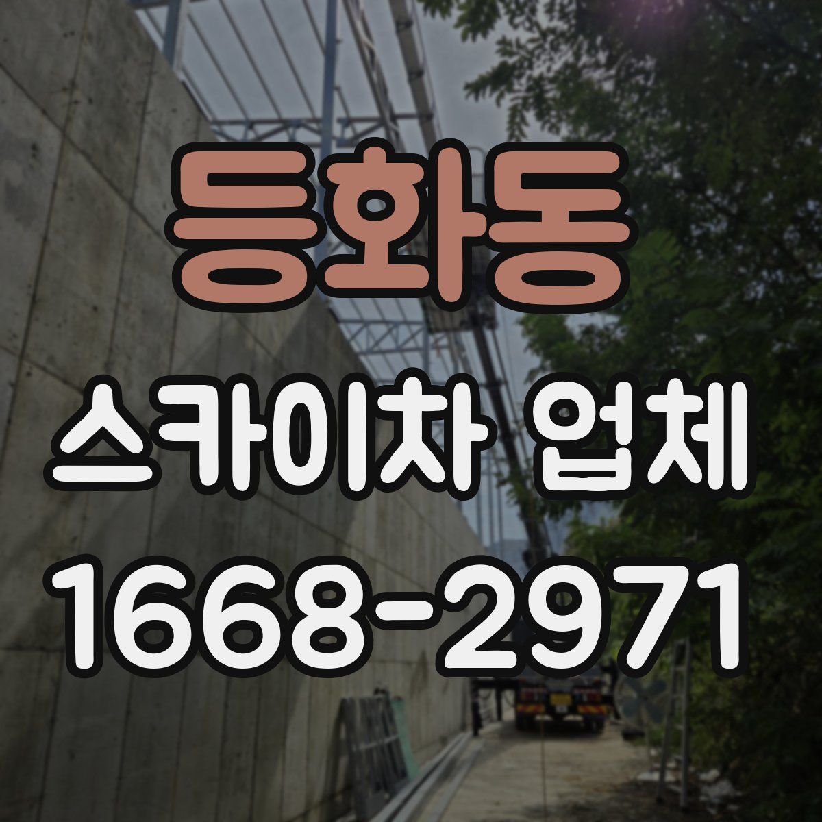 등화동 스카이차 업체