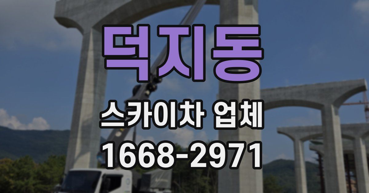 덕지동 스카이차 업체