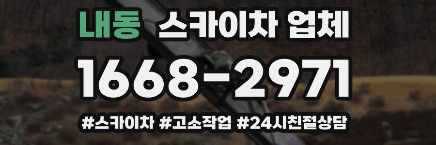 내동 스카이차 업체