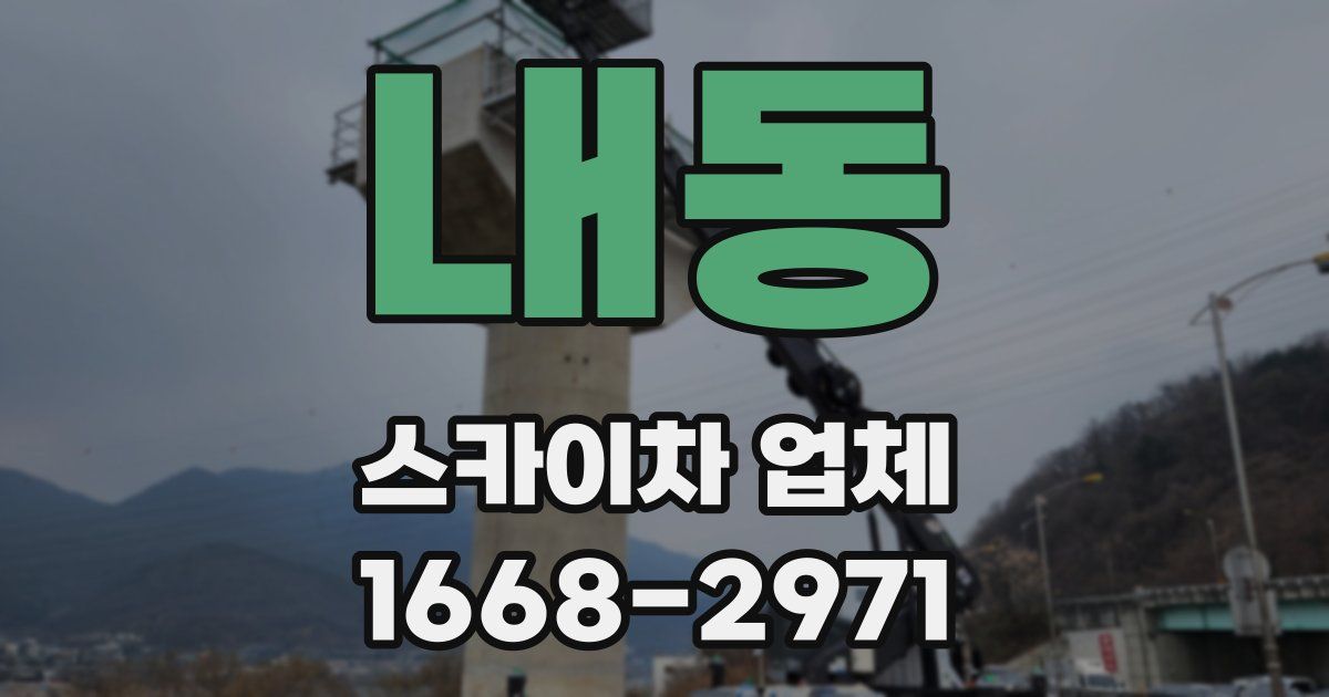 내동 스카이차 업체