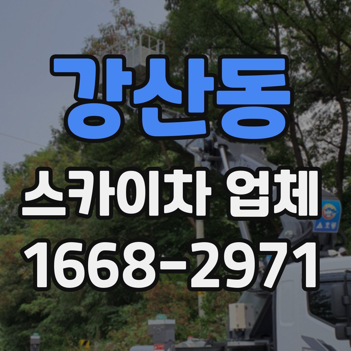강산동 스카이차 업체