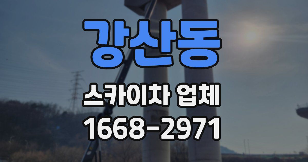 강산동 스카이차 업체