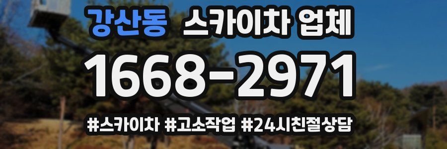 강산동 스카이차 업체